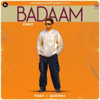 Badaam R. Nait mp3 song free download, Badaam R. Nait full album