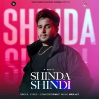 Shinda Shindi R. Nait mp3 song free download, Shinda Shindi R. Nait full album