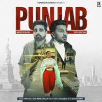 Punjab Tippu Sultan, Inder Dhillon mp3 song free download, Punjab Tippu Sultan, Inder Dhillon full album