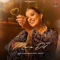 Mera Dil Sargi Maan mp3 song free download, Mera Dil Sargi Maan full album