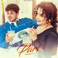 Pari Diler Kharkiya, Shiva Choudhary mp3 song free download, Pari Diler Kharkiya, Shiva Choudhary full album