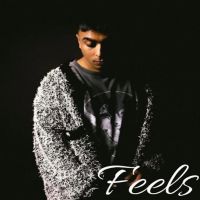 Feels Gurinder Gill mp3 song free download, Feels Gurinder Gill full album