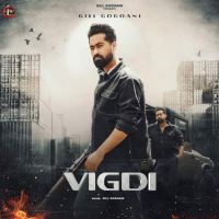 Vigdi Gill Gogoani mp3 song free download, Vigdi Gill Gogoani full album