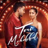 Teri Mohabbat Musahib mp3 song free download, Teri Mohabbat Musahib full album