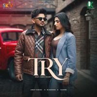 Try Arav Sidhu mp3 song free download, Try Arav Sidhu full album