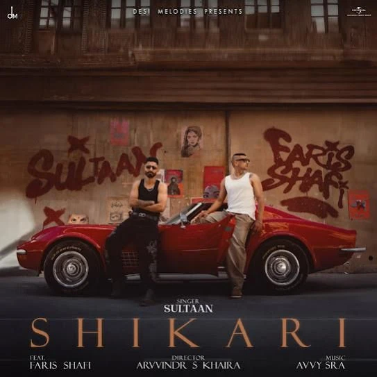 Shikari Sultaan mp3 song free download, Shikari Sultaan full album