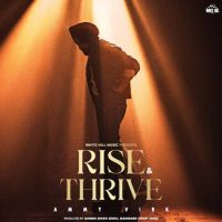 Booster Ammy Virk mp3 song free download, Rise & Thrive Ammy Virk full album