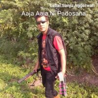 Aaja Aaja Ni Padosana Surinder Aggarwal mp3 song free download, Aaja Aaja Ni Padosana Surinder Aggarwal full album