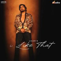 I Like That Jigar mp3 song free download, I Like That Jigar full album