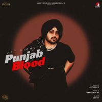 Punjab Blood Jot Sidhu mp3 song free download, Punjab Blood Jot Sidhu full album