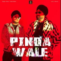 Pinda Wale Turban Beats mp3 song free download, Pinda Wale Turban Beats full album
