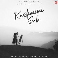 Kashmiri Seb Wazir Patar mp3 song free download, Kashmiri Seb Wazir Patar full album