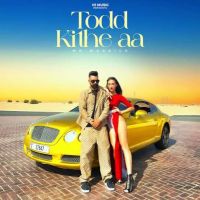 Todd Kithe Aa Mr Waraich mp3 song free download, Todd Kithe Aa Mr Waraich full album