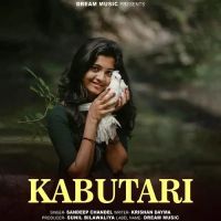 Kabutari Sandeep Chandel mp3 song free download, Kabutari Sandeep Chandel full album
