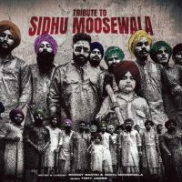 Tribute To Sidhu Moosewala Emiway Bantai, Sidhu Moosewala mp3 song free download, Tribute To Sidhu Moosewala Emiway Bantai, Sidhu Moosewala full album