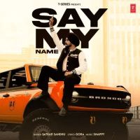 Say My Name Satkar Sandhu mp3 song free download, Say My Name Satkar Sandhu full album