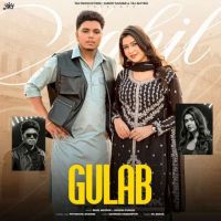 Gulab Sahil Mehrok mp3 song free download, Gulab Sahil Mehrok full album