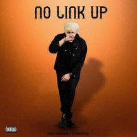 No Link Up Sunny Randhawa mp3 song free download, No Link Up Sunny Randhawa full album