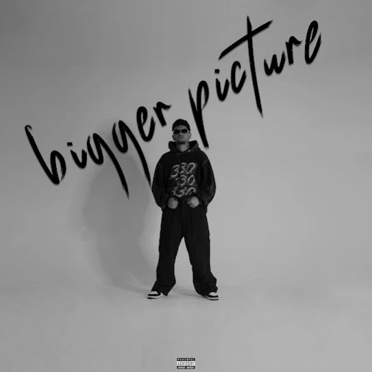 Bow Down Flop Likhari mp3 song free download, Bigger Picture Flop Likhari full album