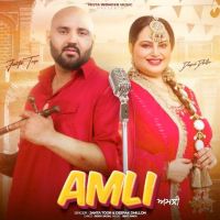 Amli Janta Toor mp3 song free download, Amli Janta Toor full album