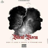 The Way She Shines gURi mp3 song free download, The Way She Shines gURi full album