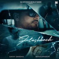 Flashback Savvy Sandhu mp3 song free download, Flashback Savvy Sandhu full album