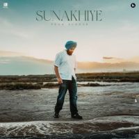 Sunakhiye Ekam Sudhar mp3 song free download, Sunakhiye Ekam Sudhar full album