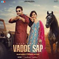 Vadde Sap Ekam Bawa mp3 song free download, Vadde Sap Ekam Bawa full album