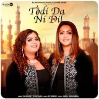 Todi Da Ni Dil Hashmat Sultana mp3 song free download, Todi Da Ni Dil Hashmat Sultana full album