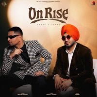On Rise Akaal mp3 song free download, On Rise Akaal full album