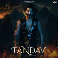 Tandav Gulzaar Chhaniwala mp3 song free download, Tandav Gulzaar Chhaniwala full album