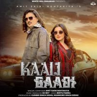 Kaali Gaadi Amit Saini Rohtakiya mp3 song free download, Kaali Gaadi Amit Saini Rohtakiya full album