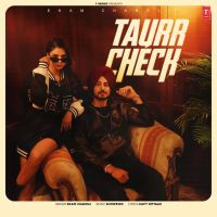 Taurr Check Ekam Chanoli mp3 song free download, Taurr Check Ekam Chanoli full album