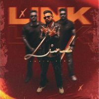 Link Lovie Virk mp3 song free download, Link Lovie Virk full album