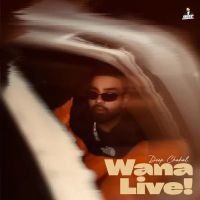 Wana Live Deep Chahal mp3 song free download, Wana Live Deep Chahal full album
