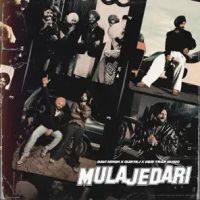 Mulajedari Davi Singh mp3 song free download, Mulajedari Davi Singh full album