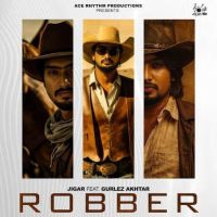 Robber Jigar mp3 song free download, Robber Jigar full album