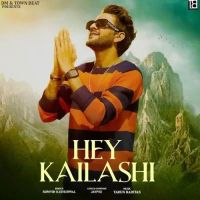 Hey Kailashi Somvir Kathurwal mp3 song free download, Hey Kailashi Somvir Kathurwal full album