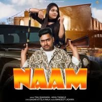 Naam Ashu Twinkle mp3 song free download, Naam Ashu Twinkle full album