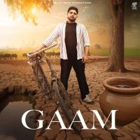 Gaam Bintu Pabra mp3 song free download, Gaam Bintu Pabra full album