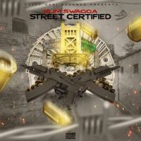 Shikari Slim Swagga mp3 song free download, Shikari Slim Swagga full album