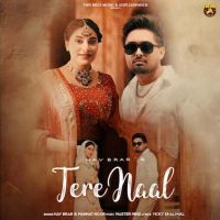 Tere Naal Nav Brar mp3 song free download, Tere Naal Nav Brar full album