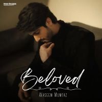 Beloved Waseem Mumtaz, Bilal Saeed mp3 song free download, Beloved Waseem Mumtaz, Bilal Saeed full album
