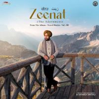 Zeenat (The Adornment) Satinder Sartaaj mp3 song free download, Zeenat (The Adornment) Satinder Sartaaj full album