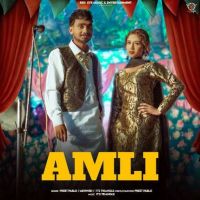 Amli Preet Pablo mp3 song free download, Amli Preet Pablo full album