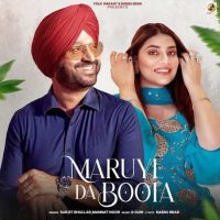 Maruye Da Boota Surjit Bhullar mp3 song free download, Maruye Da Boota Surjit Bhullar full album