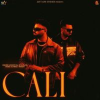 Cali Navroz Gill mp3 song free download, Cali Navroz Gill full album