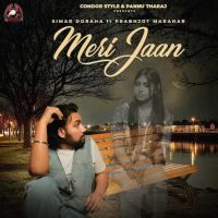 Meri Jaan Simar Doraha mp3 song free download, Meri Jaan Simar Doraha full album