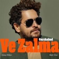 Ve Zalma By Gurshabad full mp3 album downlad