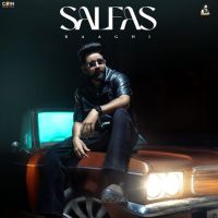 Salfas Baaghi mp3 song free download, Salfas Baaghi full album